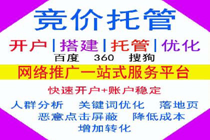 经典案例：专业SEM托管如何实现ROI最大化